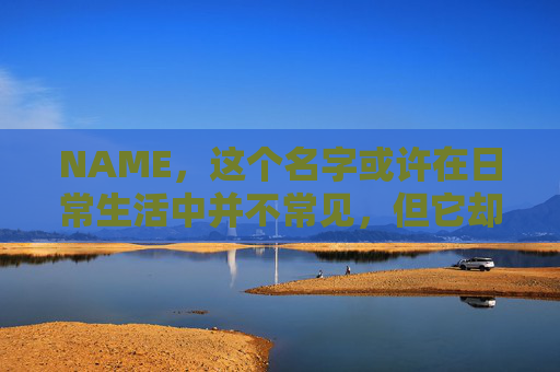 NAME，这个名字或许在日常生活中并不常见，但它却在某些领域里扮演着重要的角色。今天，让我们一起来探索这个名字背后的故事和意义